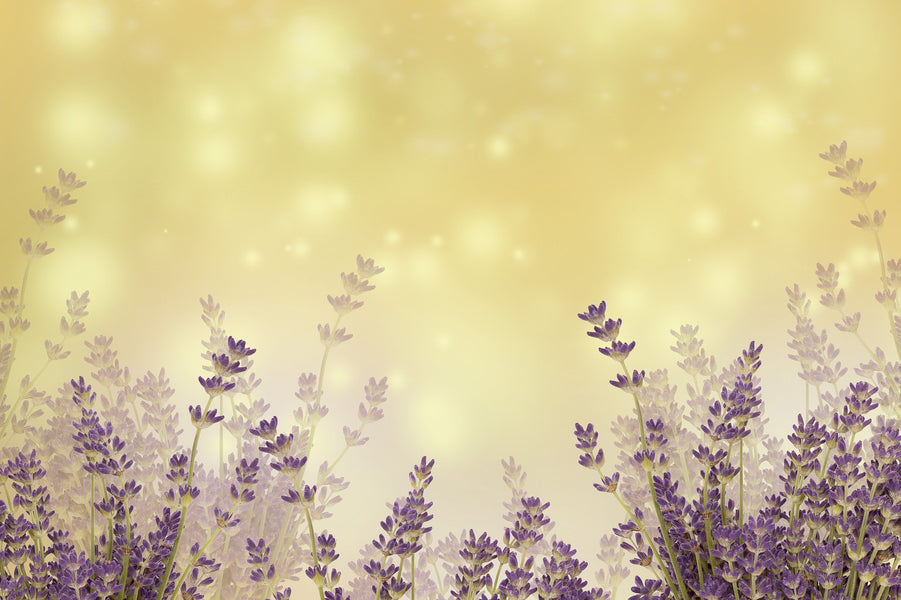 Aromatherapy for Emotional Well-Being