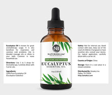Load image into Gallery viewer, Eucalyptus (4oz)